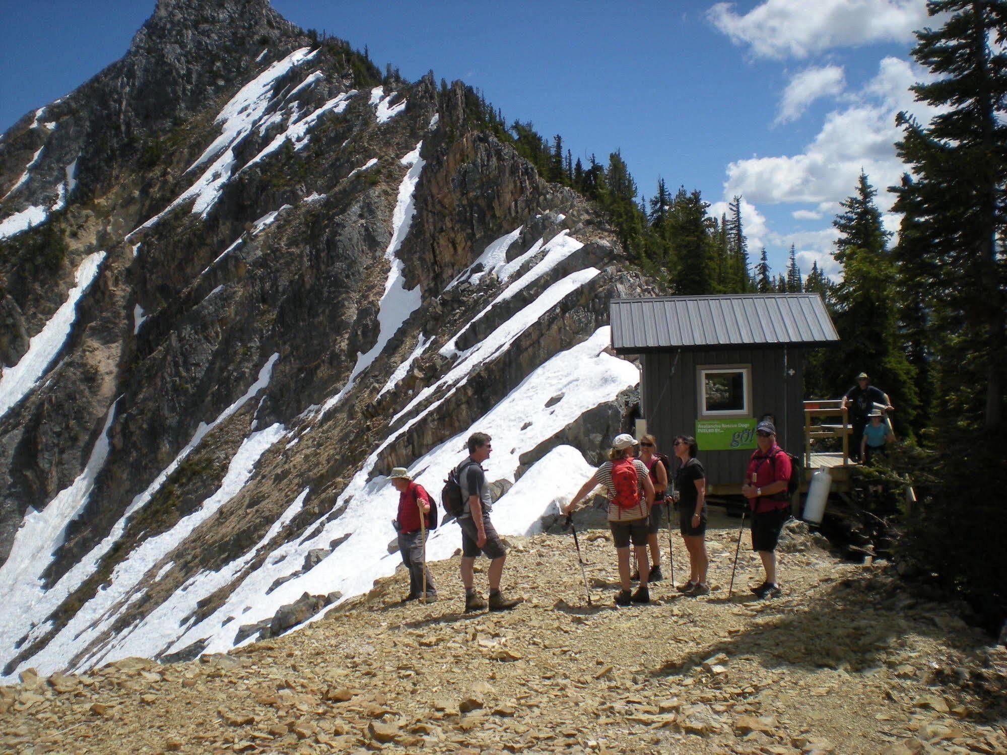Vagabond Lodge At Kicking Horse Golden Kültér fotó