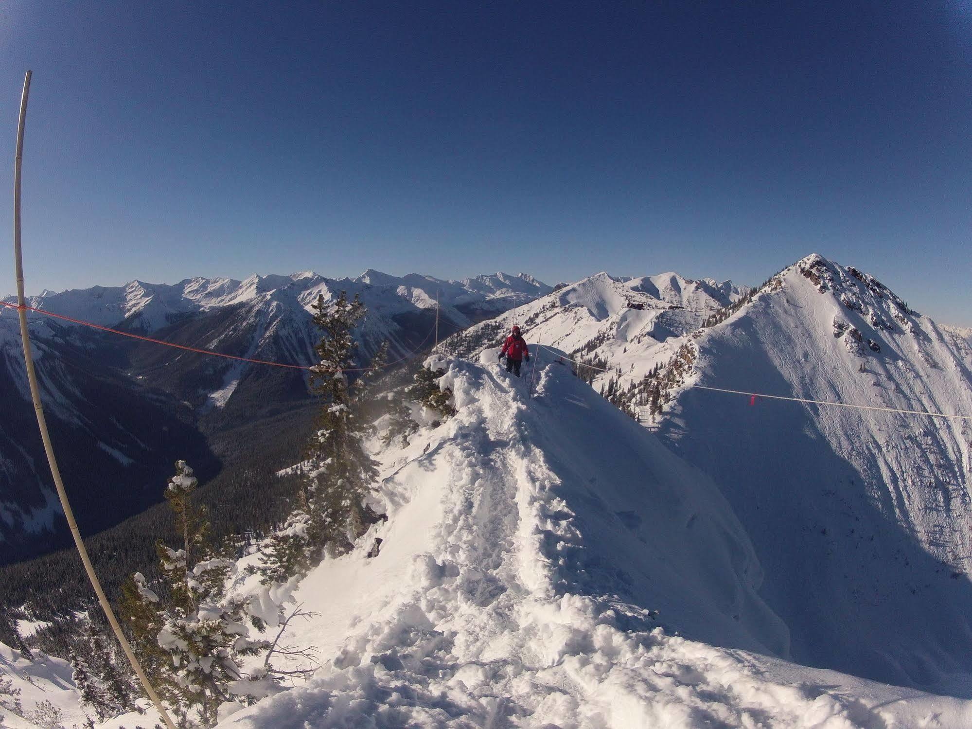 Vagabond Lodge At Kicking Horse Golden Kültér fotó